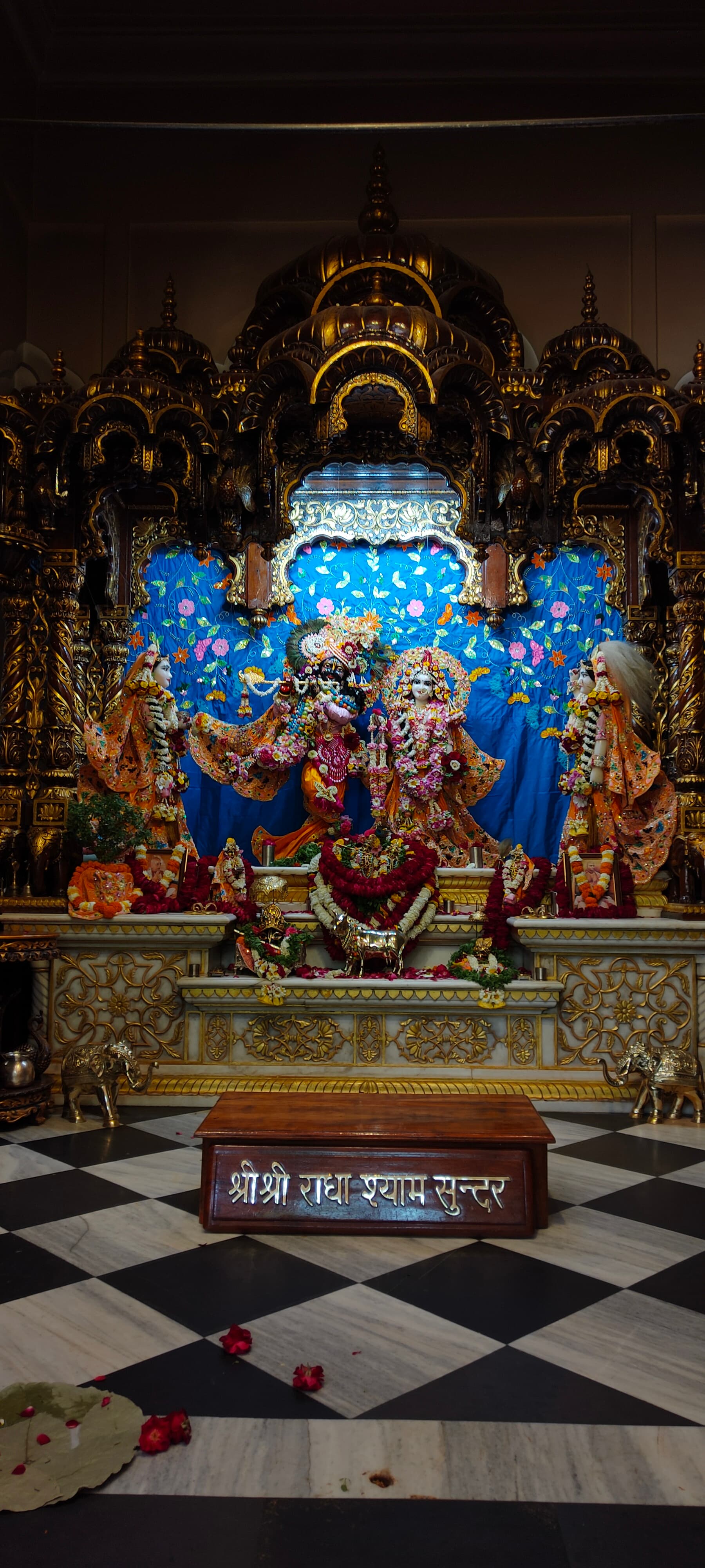 Gallery Image 10